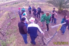 Tercera sesión de las madres del vino su silencio