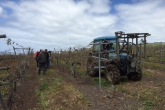 IMG-20150316-WA0015