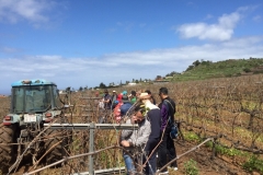 IMG-20150316-WA0021
