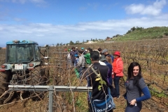 IMG-20150316-WA0022