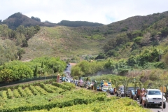 fiestavendimia8