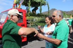 fiestavendimia3