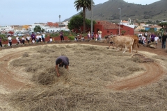 vendimiaesperanza18