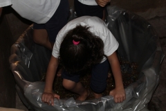 vendimiaesperanza6