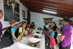 vendimiaesperanza9