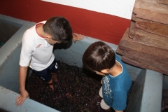 vendimia21