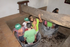Vendimia de la esperanza 2014