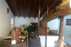 WhatsApp_Image_2018-09-15_at_22.41.33_1