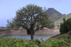 DSCN0445